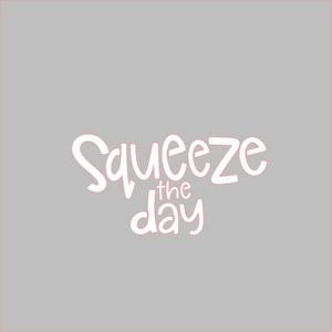 2 piece Squeeze the Day Stencil - Dots and Bows Designs